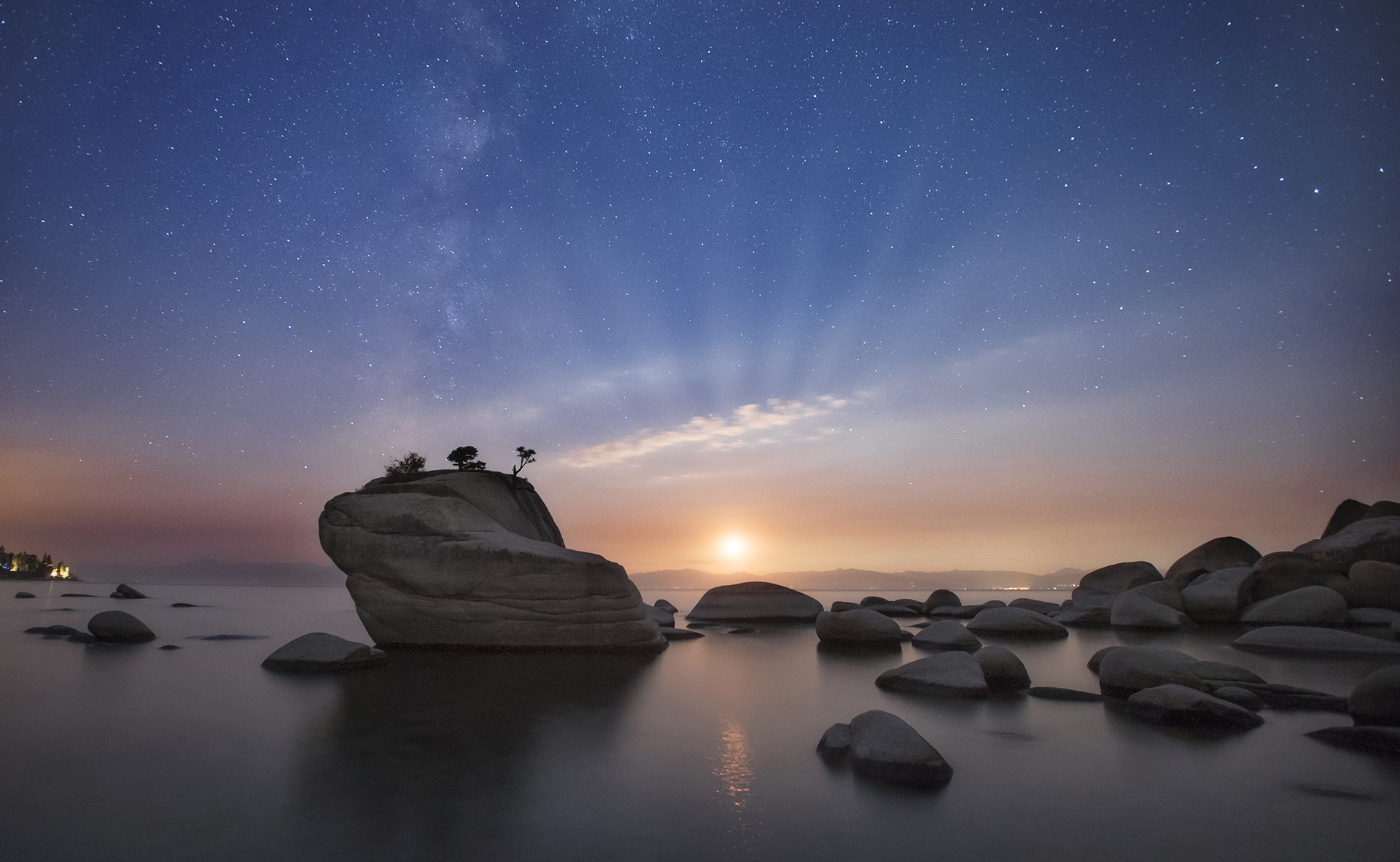 bonsai-rock